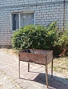 Дом посуточно в Черноморске (Ильичёвске). ул. Сады, 3-яя линия, 32 — 1001671988 изображение 13