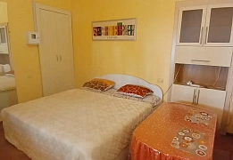 Daily apartments near the sea, Odesa (236)