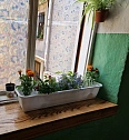 1-комнатная подобово у Львові. Шевченковский район, вул. Городоцька, 22/24 — 785897870 зображення 49