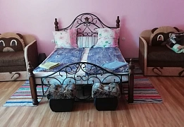 Квартиры посуточно в Берегово (28)