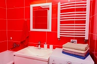 house daily in Berehovo. Mukachevskaya St., 207 — 1001683574 image 38