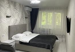 Квартиры посуточно в Ленинском районе (40)