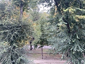 1-комнатная daily in Dnipro. TSentralnyy district, Starokozatskaya St., 62а — 1001687100 image 8