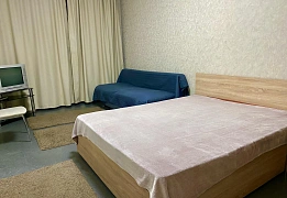 Apartments for daily rent near metro Vokzalnaya in Kyiv (24)