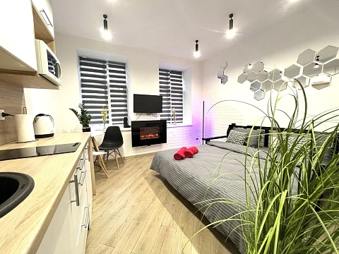 1-комнатная daily in Lviv. Galitskiy district, Knyazya Lva St., 11а — 1001606512 image 20