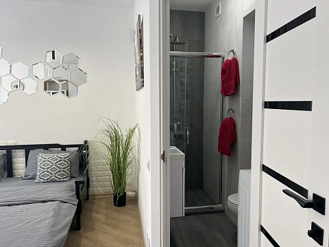 1-комнатная daily in Lviv. Galitskiy district, Knyazya Lva St., 11а — 1001606512 image 21