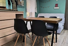 Apartments for daily rent in Lviv near Potocki Palace (127)