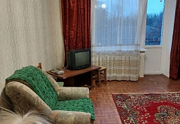 Квартиры посуточно в Заречном районе (78)