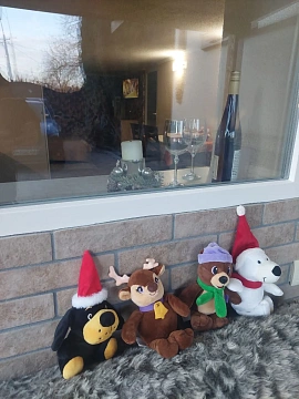 2-комнатная посуточно в Мукачево. ул. Михаила Комана, 25 &mdash; 1001693633 изображение 13