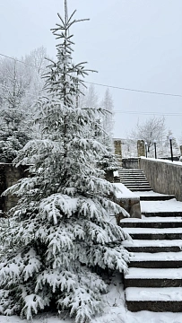 Дом посуточно в Яремче. ул. Партизанская, 62н &mdash; 1001694124 изображение 3