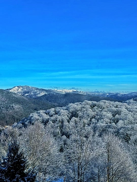 Дом посуточно в Яремче. ул. Партизанская, 62н &mdash; 1001694124 изображение 4