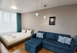 1-комнатная daily in Kyiv. SHevchenkovskiy district, Zoologicheskaya St., 2 &mdash; 1001635079 image 1