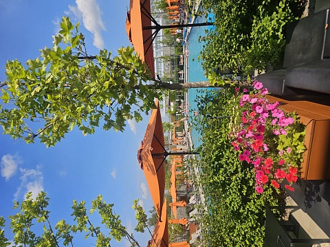 1-комнатная подобово у Києві. Шевченковский район, вул. Салютна, 2 &mdash; 1001600663 зображення 21