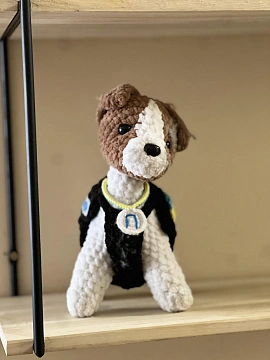 1-комнатная посуточно в Львове. Шевченковский район, ул. Замарстыновская, 5 &mdash; 1001697576 изображение 12