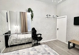 Apartments for daily rent in Kyiv near Shevchenko Park (96)