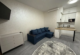 Квартири подобово в Печерському районі (111)