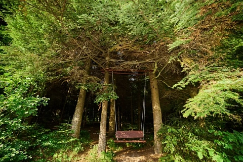 house daily in Skhidnitsa. Tarasa SHevchenko St., 290 б &mdash; 1001699447 image 17