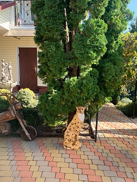 Будинок подобово у Черкасах. с. Сагунівка, 11 &mdash; 1000951741 зображення 29