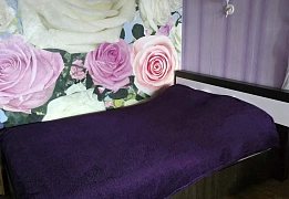  подобово у Павлограді. вул. Центральна, 73 &mdash; 1001069636 зображення 6