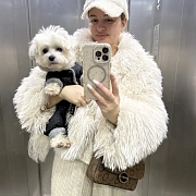 Всі квартири користувача зображення 1