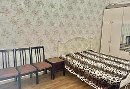 Квартиры посуточно в Приморском районе (4)