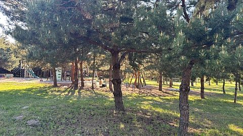 house daily in Boyarka. s. Bobritsa, St. Polunichnaya, 8 &mdash; 1001706322 image 3