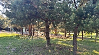 house daily in Boyarka. s. Bobritsa, St. Polunichnaya, 8 &mdash; 1001706322 image 17