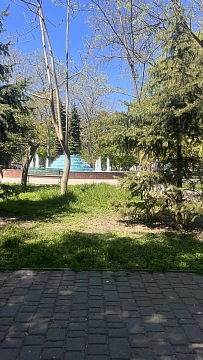 1-комнатная подобово у Одесі. Приморский район, вул. Сегедська, 8 &mdash; 240625322 зображення 19