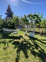 Кімната подобово у Берегово. вул. Молодіжна , 15 &mdash; 1001707331 зображення 39