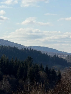 house daily in Skhidnitsa. YUbileynaya St., 16 &mdash; 1001707464 image 11