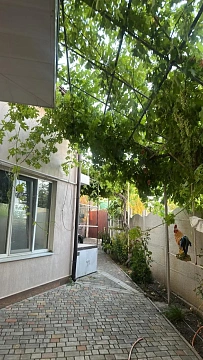 Комната посуточно в Одессе. ул. Курортная (пер. Терешковой), 40 &mdash; 1001708093 изображение 8