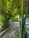 Комната посуточно в Одессе. ул. Курортная (пер. Терешковой), 40 &mdash; 1001708093 изображение 39