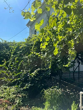 Комната посуточно в Одессе. ул. Курортная (пер. Терешковой), 40 &mdash; 1001708093 изображение 26