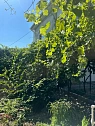 Комната посуточно в Одессе. ул. Курортная (пер. Терешковой), 40 &mdash; 1001708093 изображение 54