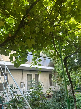 Комната посуточно в Одессе. ул. Курортная (пер. Терешковой), 40 &mdash; 1001708093 изображение 27