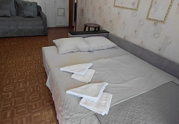 Квартиры посуточно в Приморском районе (15)