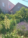 house daily in Odesa. Peresypskiy district, 29-ya Liniya St., 11а &mdash; 1001635243 image 22