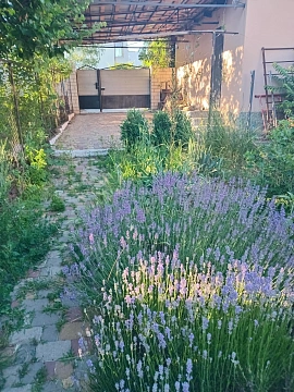 house daily in Odesa. Peresypskiy district, 29-ya Liniya St., 11а &mdash; 1001635243 image 11