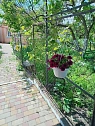 house daily in Odesa. Peresypskiy district, 29-ya Liniya St., 11а &mdash; 1001635243 image 24