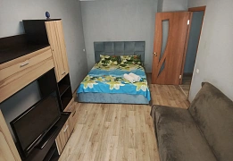 Apartments for daily rent in Dnipro near Potemkin Palace (85)