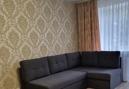 1-комнатная daily in Illichivsk (Chornomorsk). Parusnaya St., 8 — 1001675990 image 41