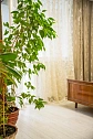 3-комнатная daily in Ternopil. Belogorskaya St., 1к &mdash; 1001509743 image 18