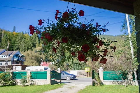room daily in Yaremche. Svobody St., 398а &mdash; 1001482727 image 4