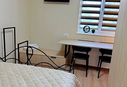 Apartments for daily rent in Kamianets-Podilskyi (29)