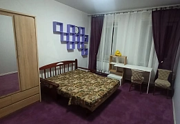 1-комнатная подобово у Одесі. Приморский район, вул. Валерія Самофалова, 16а/3 &mdash; 1001716007 зображення 48
