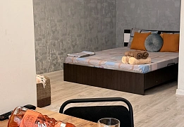 Квартиры посуточно в Приморском районе (115)