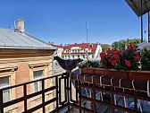 1-кімнатна подобово у Чернівцях. Шевченківський район, вул. Іона Сбієри (Новікова-Прибоя), 10 &mdash; 1001701511 зображення 17