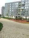 1-комнатная посуточно в Львове. Франковский район, ул. Владимира Великого, 10 &mdash; 1001577849 изображение 10