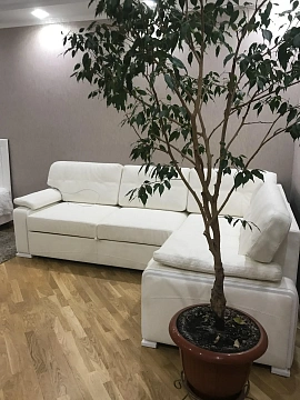 1-кімнатна подобово у Києві. Святошинський район, вул. Клавдіївська, 40 г &mdash; 1001719522 зображення 1