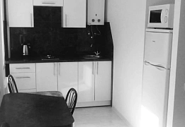 Apartments for daily rent in Zaporizhzhia (61)